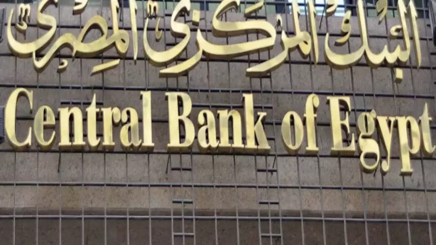 البنك المركزي: شبكة التمويل والاستدامة المصرفية ترفع تصنيف مصر لـ "التطبيق المتقدم"